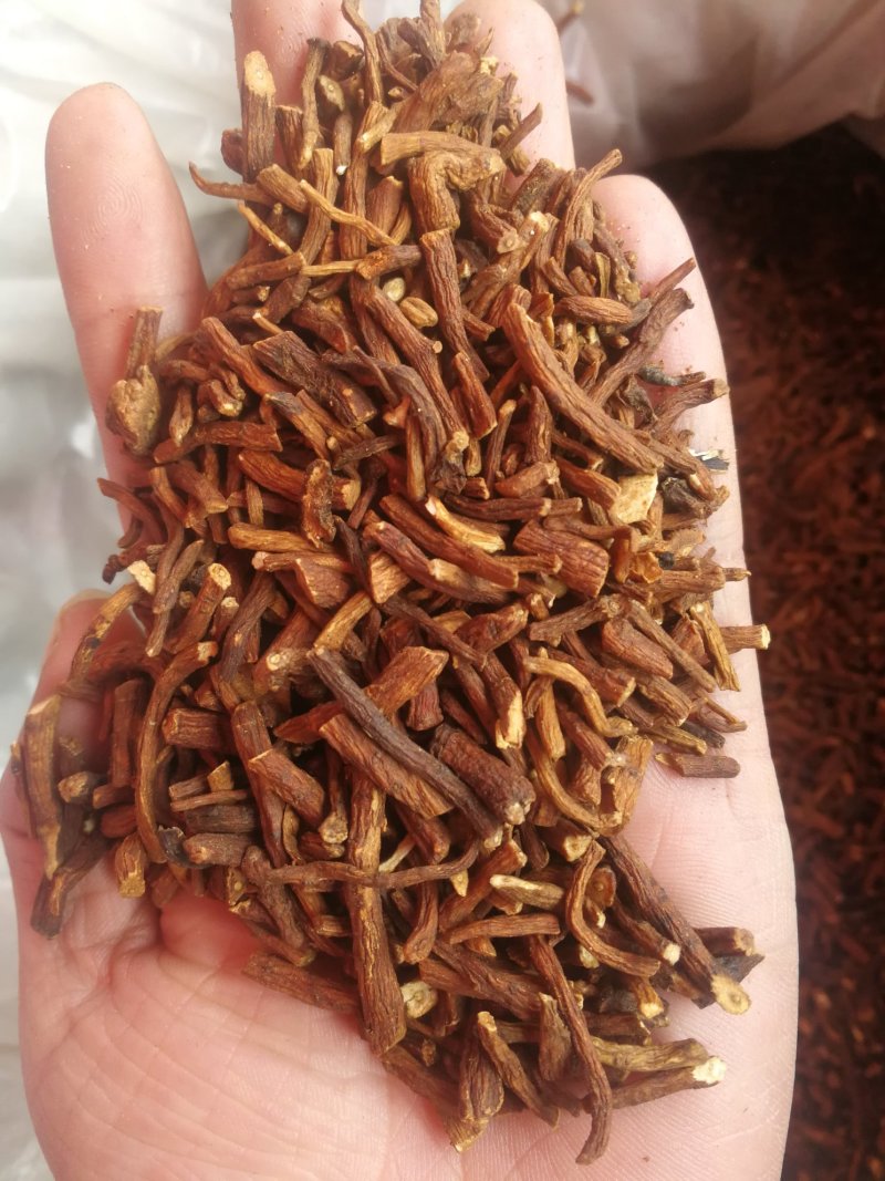 蒲公英根蒲公英根花茶产地直销一手货源