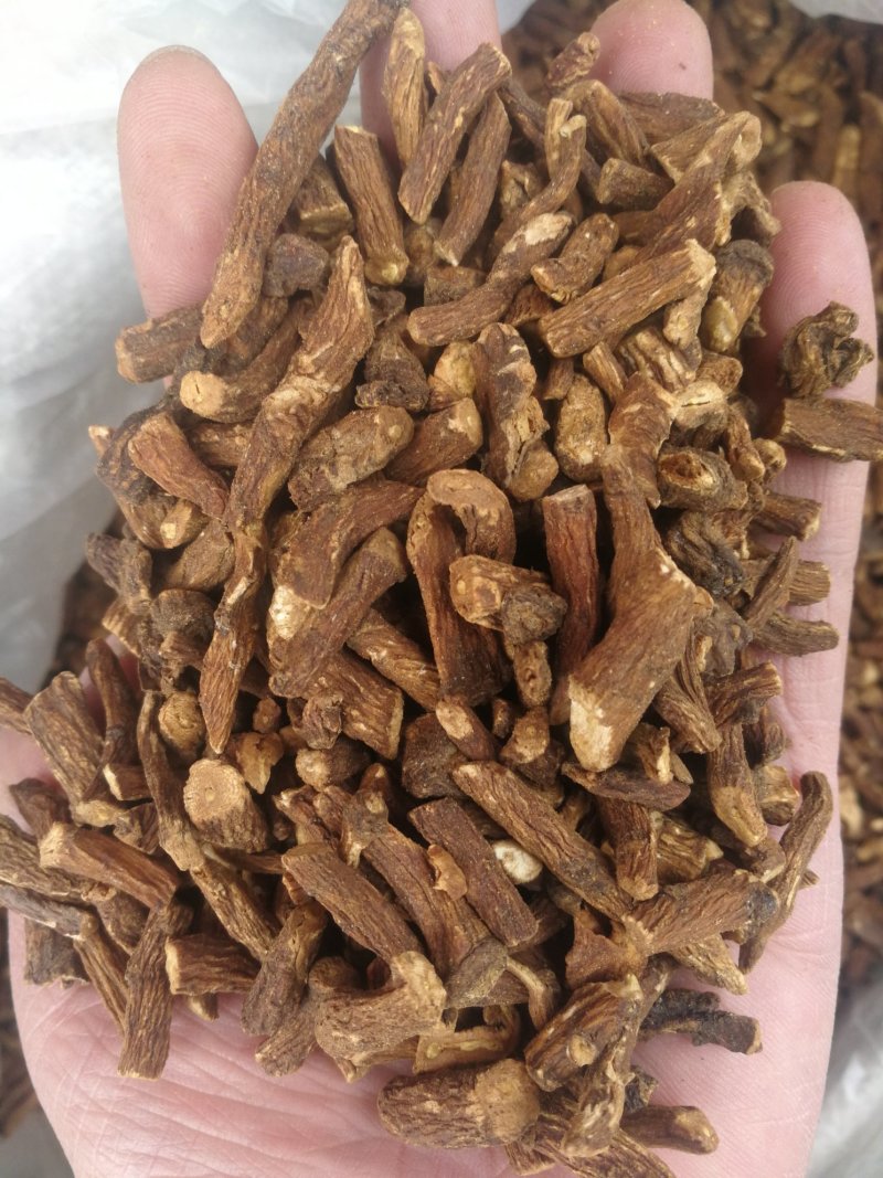 蒲公英根蒲公英根花茶产地直销一手货源