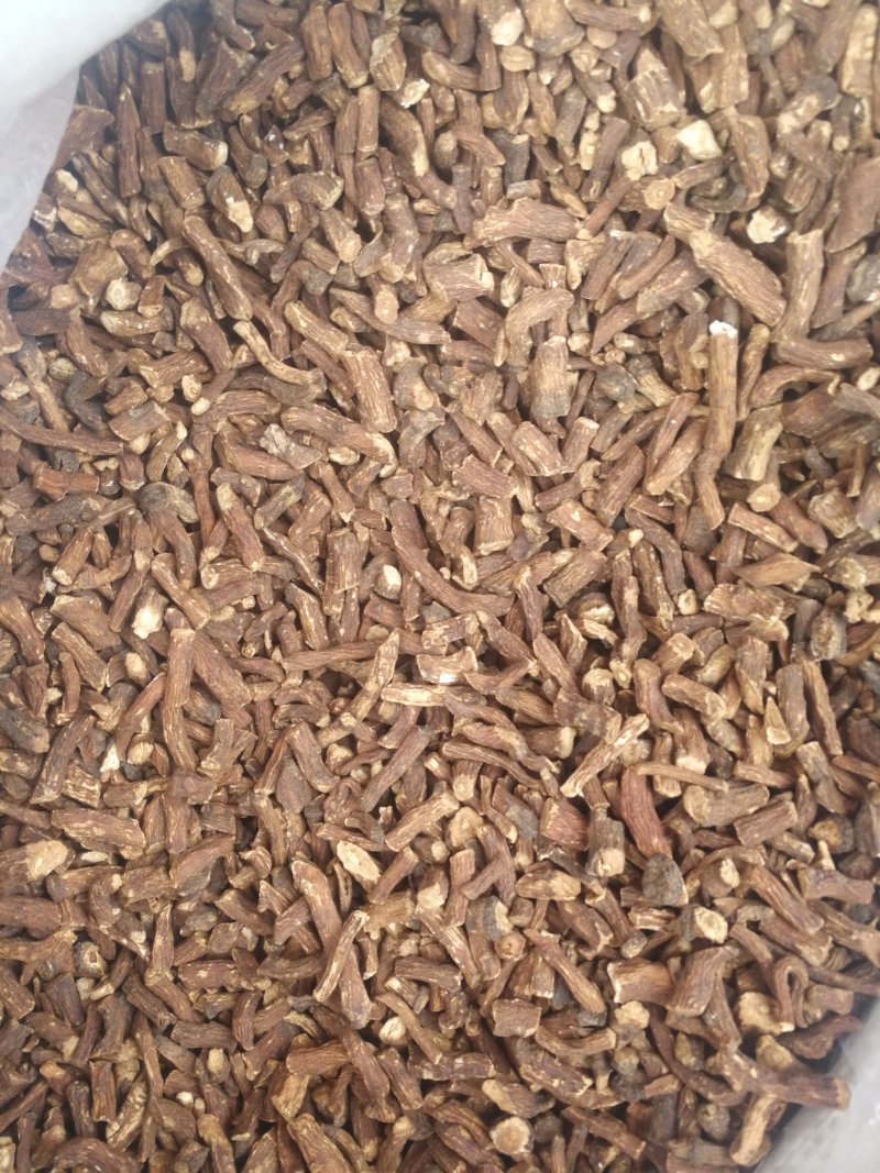 蒲公英根蒲公英根花茶产地直销一手货源