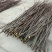 【精品】产地直供无刺花椒嫁接枝条(接穗)量大从优