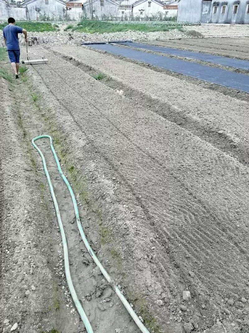 播种机6行小助手多功能手推式蔬菜播种机可调节白菜菜心等