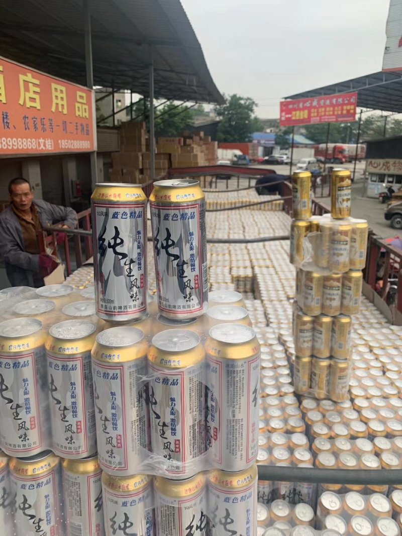 夏季热销啤酒纯生风味小麦王啤酒跑地摊500ml*9
