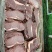 原切牛排肉批发进口草饲西冷牛排家庭儿童套餐牛扒牛肉
