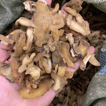 黄精炙黄精无硫磺熏蒸一公斤起批