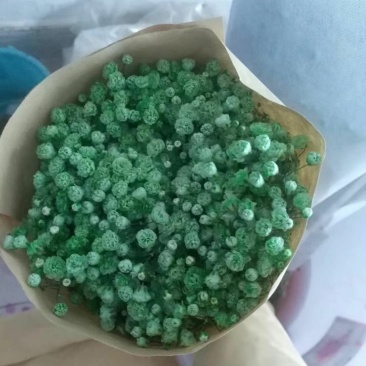 满天星吸色一件代发批发支持社区团购支持落地配颜色齐全