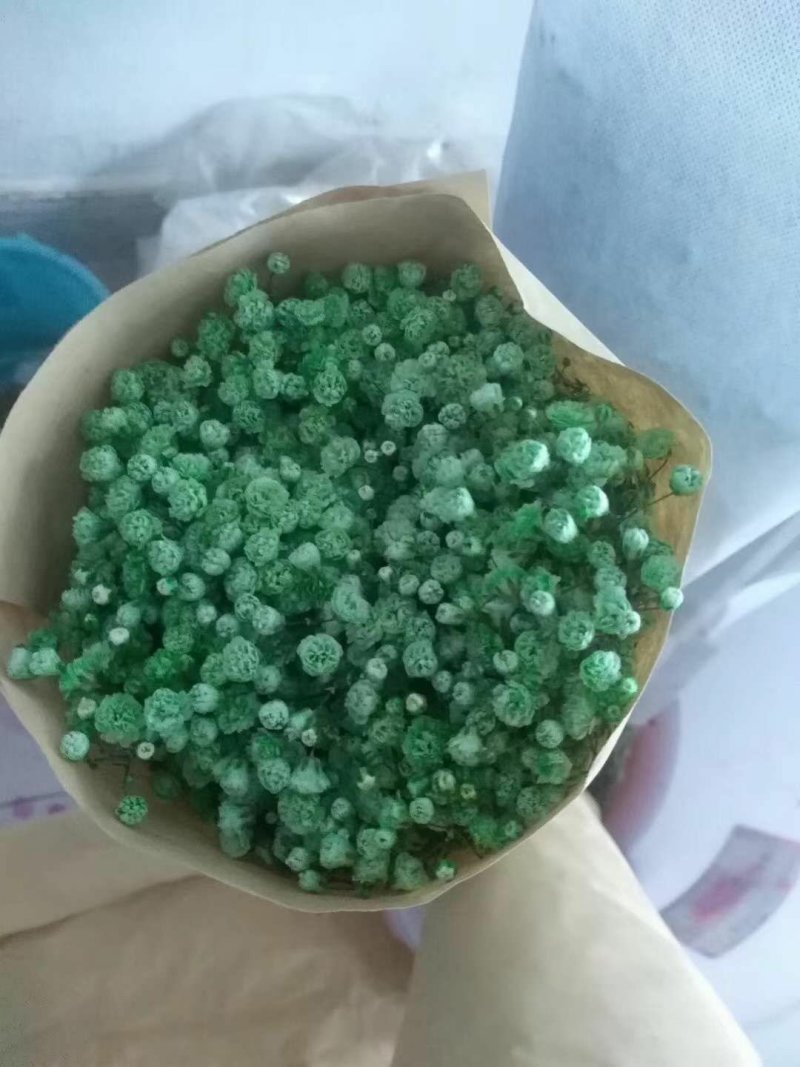 满天星吸色一件代发批发支持社区团购支持落地配颜色齐全