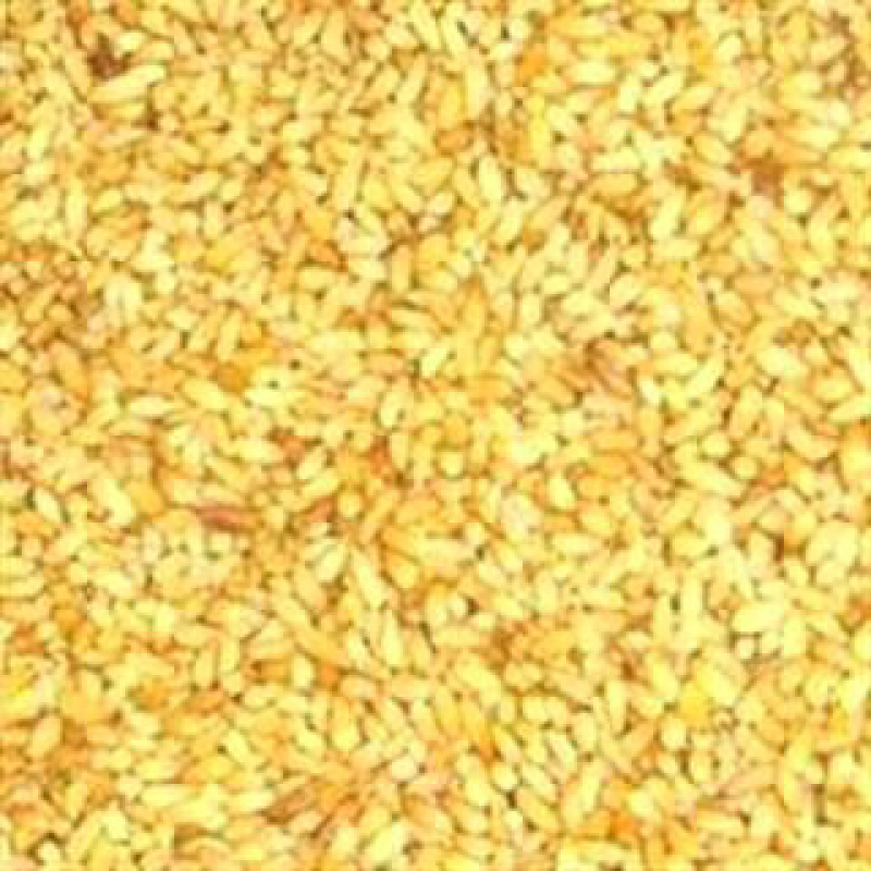 昌玉药材柏子仁大货批零品种齐全产地直销