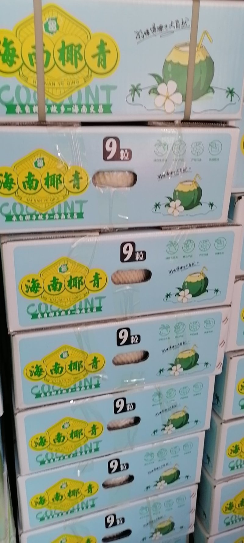 海南文昌椰青，供应全国