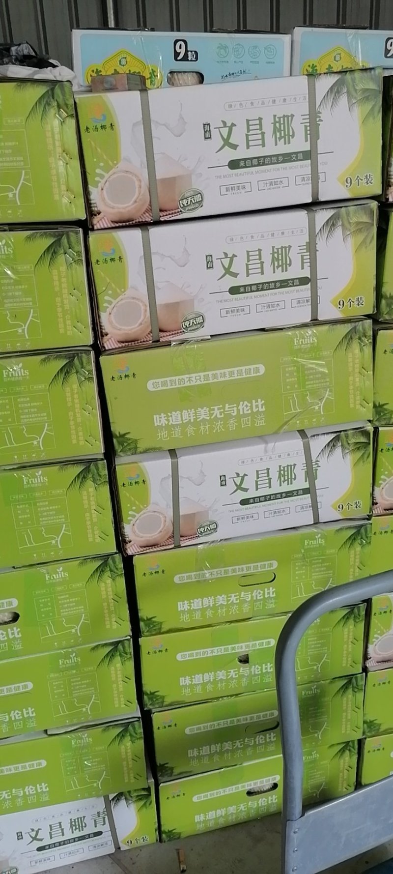 海南文昌椰青，供应全国