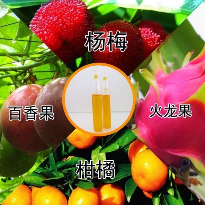 新型实用果实蝇诱捕器果园菜地瓜果实蝇药水引诱剂诱捕剂针