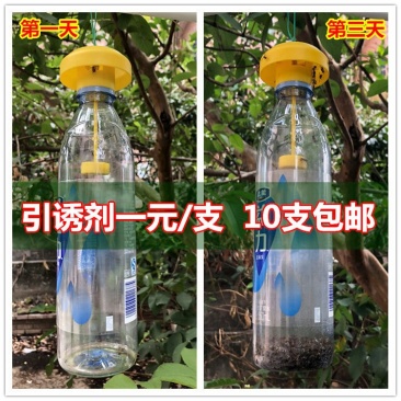 新型实用果实蝇诱捕器果园菜地瓜果实蝇药水引诱剂诱捕剂针