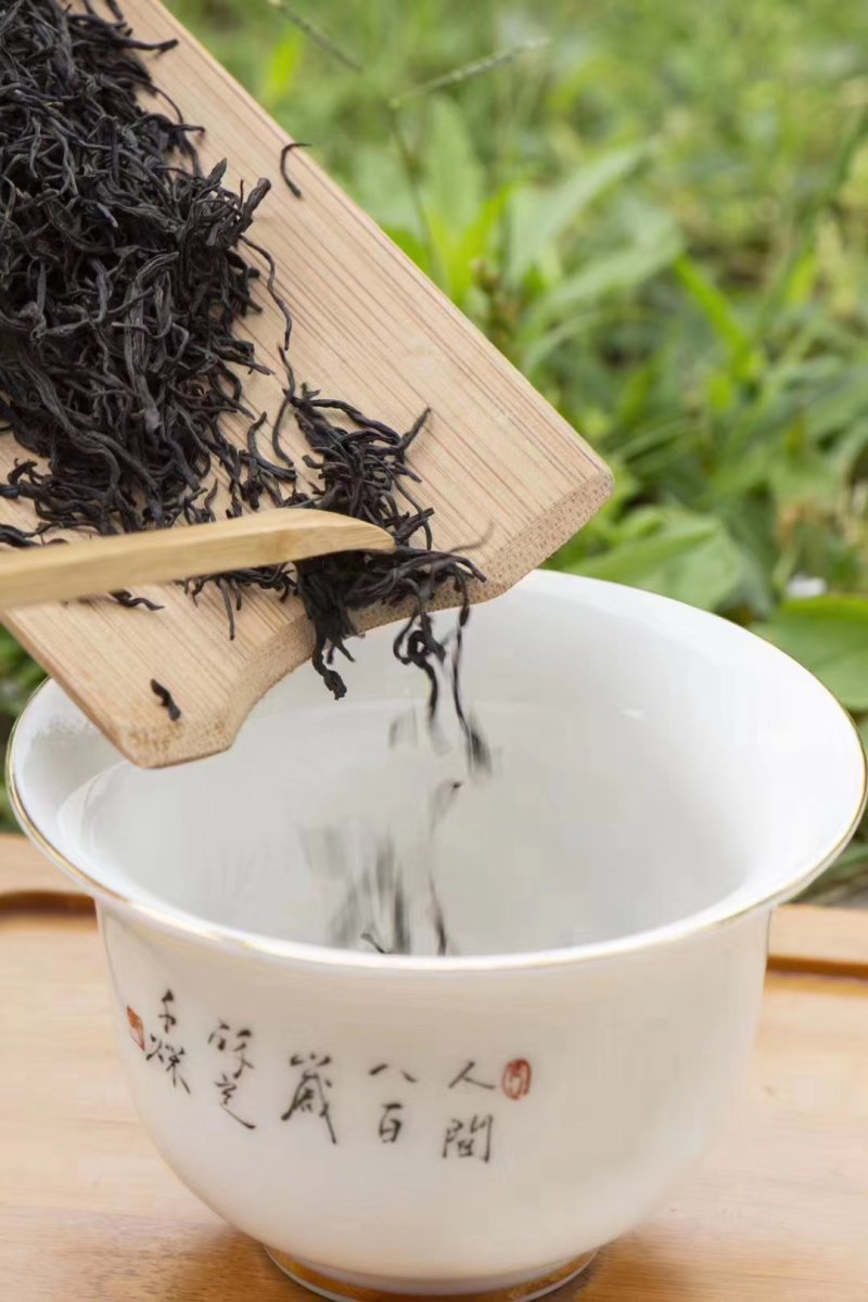 新茶武夷红茶正山小种春茶花香小种耐泡支持线上保障交易