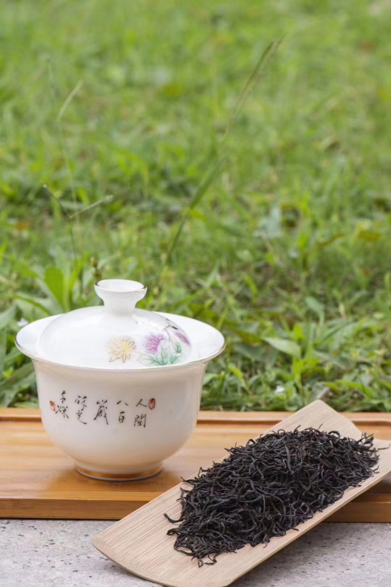新茶武夷红茶正山小种春茶花香小种耐泡支持线上保障交易