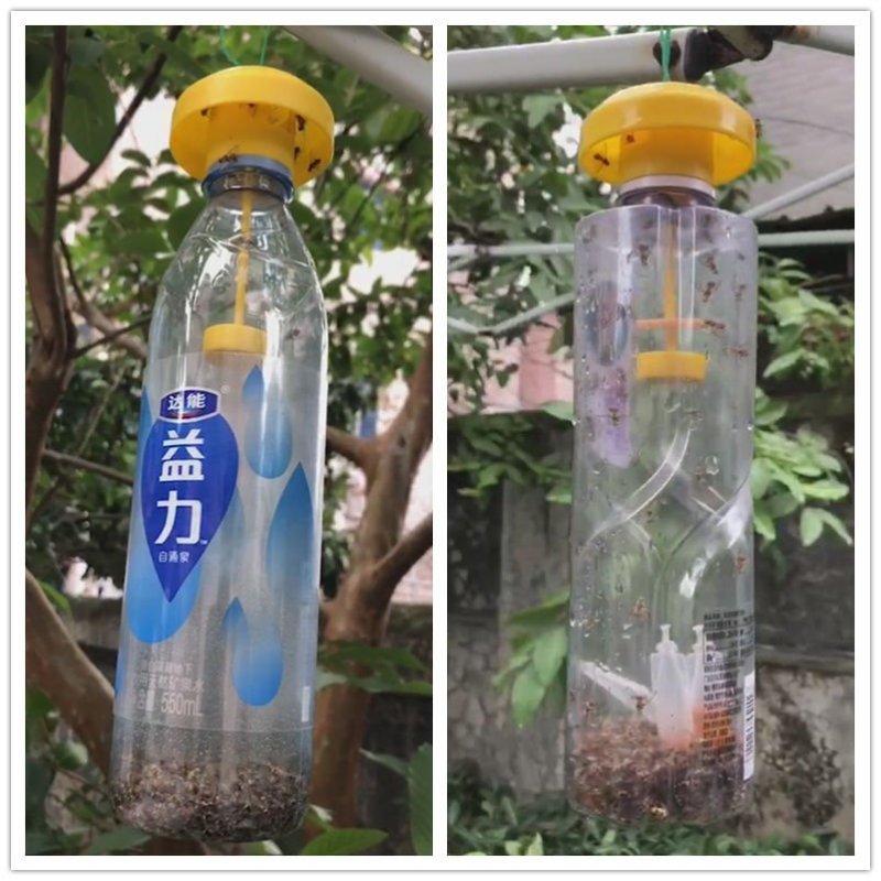 新型实用果实蝇诱捕器果园菜地瓜果实蝇药水引诱剂诱捕剂针
