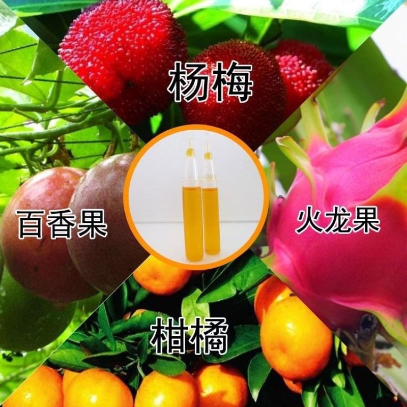 新型实用果实蝇诱捕器果园菜地瓜果实蝇药水引诱剂诱捕剂针