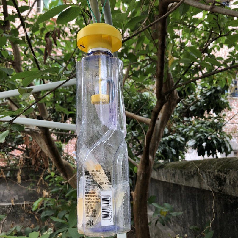 新型实用果实蝇诱捕器果园菜地瓜果实蝇药水引诱剂诱捕剂针