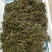 贵州黎平高山绿茶，毛尖毛峰海拔八百多米