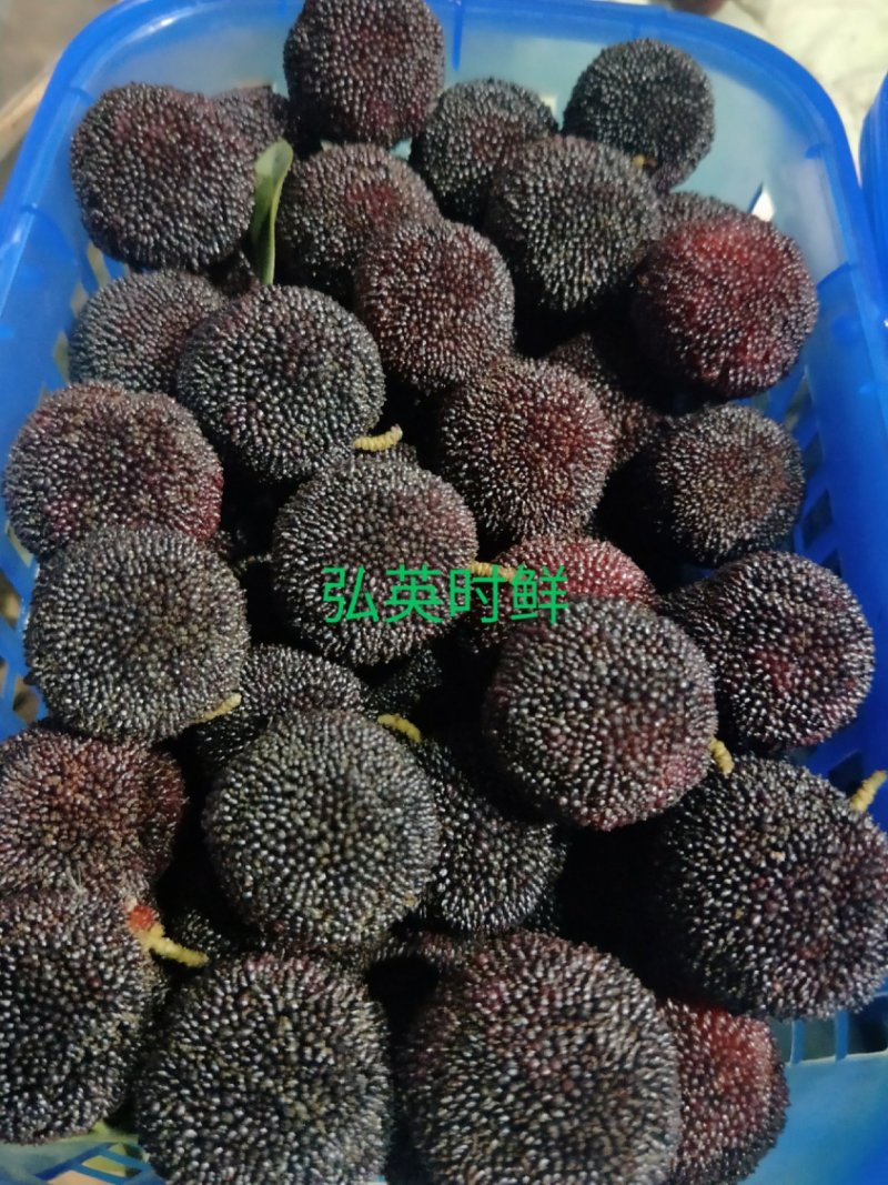 精品东魁上市啦！！！高山上的美味！口感纯正！味道爽甜！！
