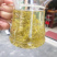富硒藤茶