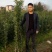 黑炭杨梅苗嫁接杨梅一年苗荸荠种