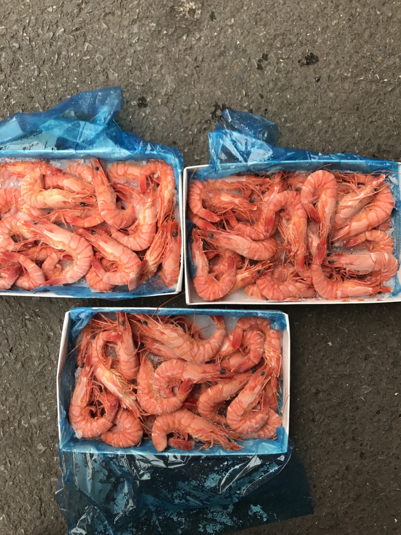 熟冻黑虎虾天然虾每件10盒