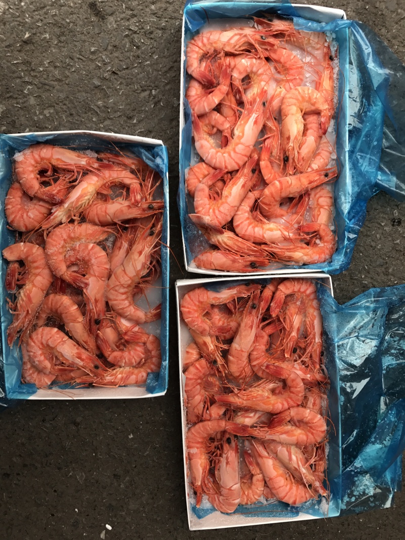 熟冻黑虎虾天然虾每件10盒