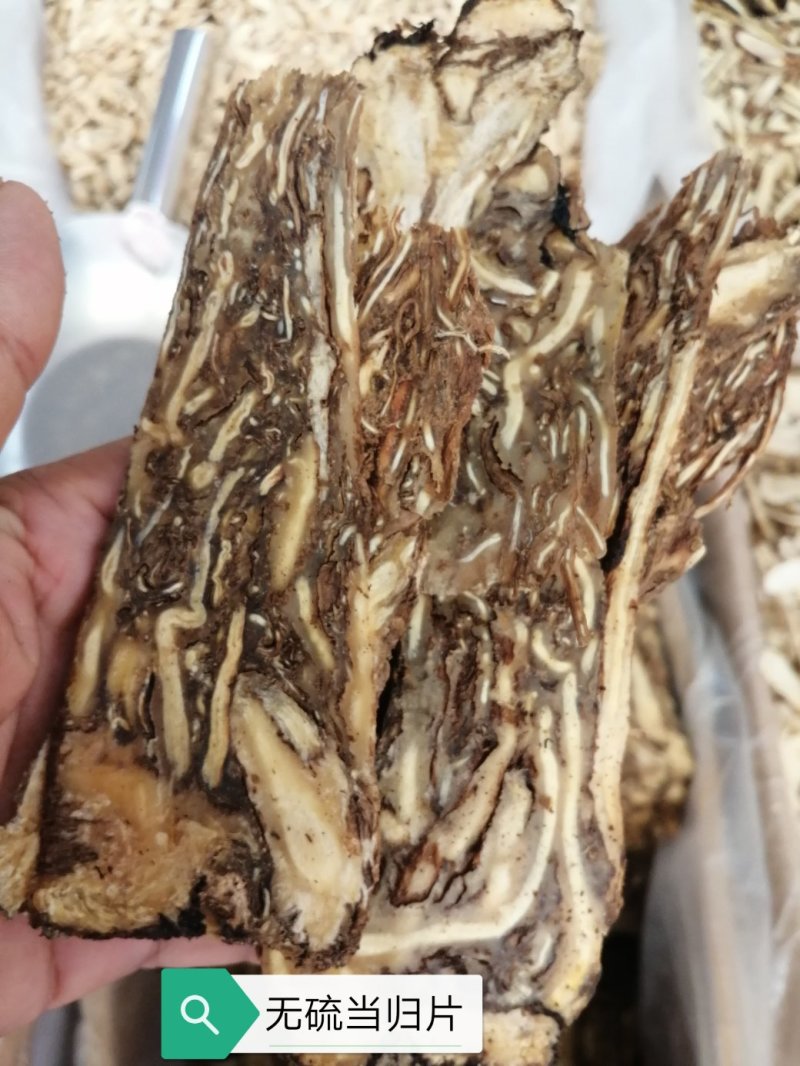 当归中心片，全当归中心片，颜色好气味浓干度好颜色漂亮