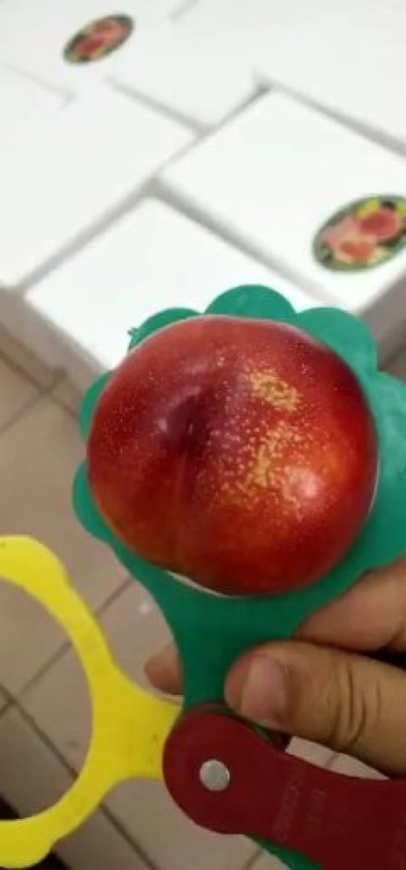 湖北黄心油桃一件代发快递抖音淘宝拼多多