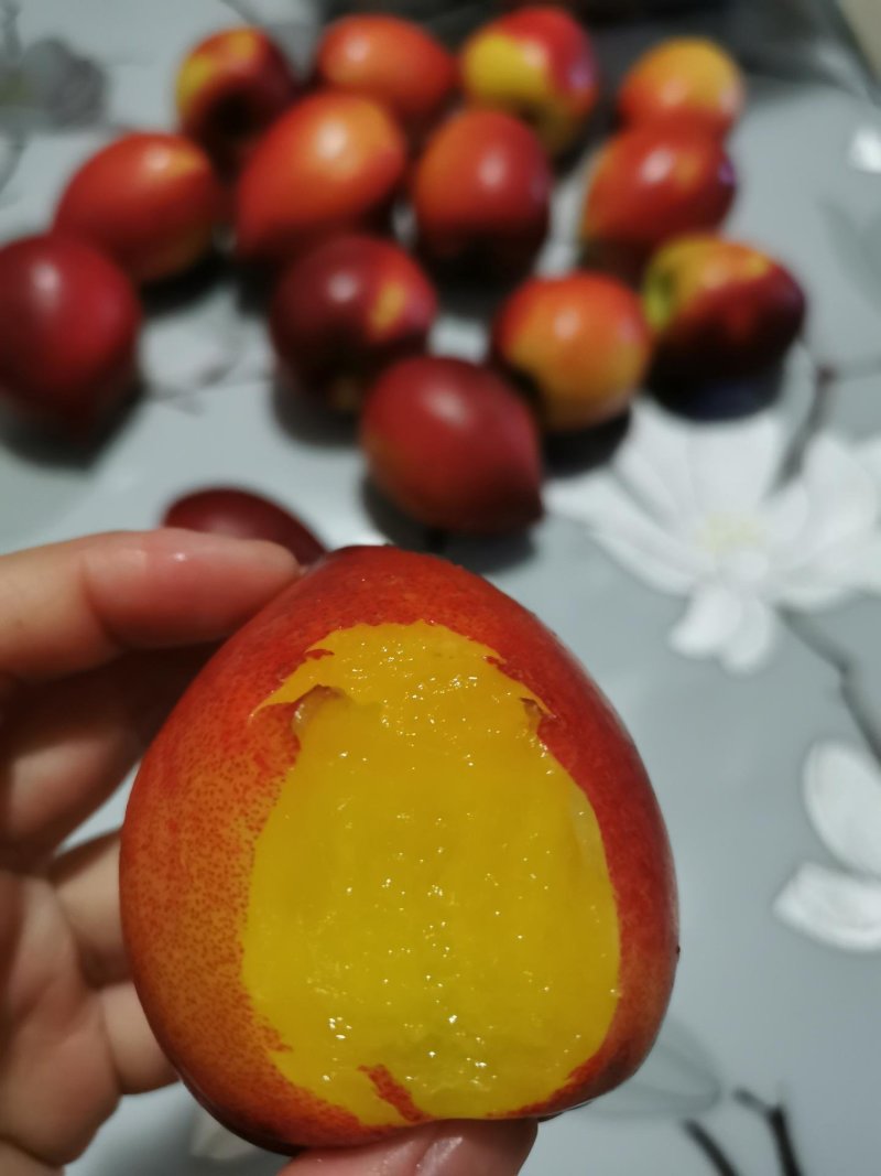 湖北黄心油桃一件代发快递抖音淘宝拼多多