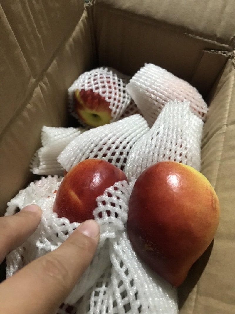 湖北黄心油桃一件代发快递抖音淘宝拼多多