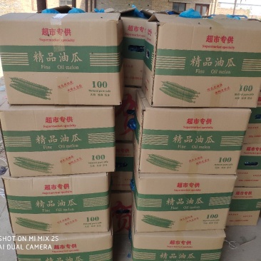 密刺亮条油瓜产地直发