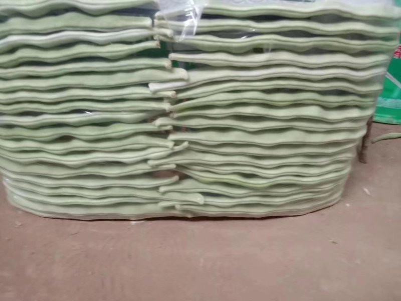 豆角精品白芸豆角大量上市产地直销质量保证全国发货