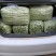 豆角精品白芸豆角大量上市产地直销质量保证全国发货