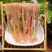 新鲜冷冻鸭肠4斤装一件代发