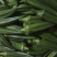 阎良区甜瓜种植基地