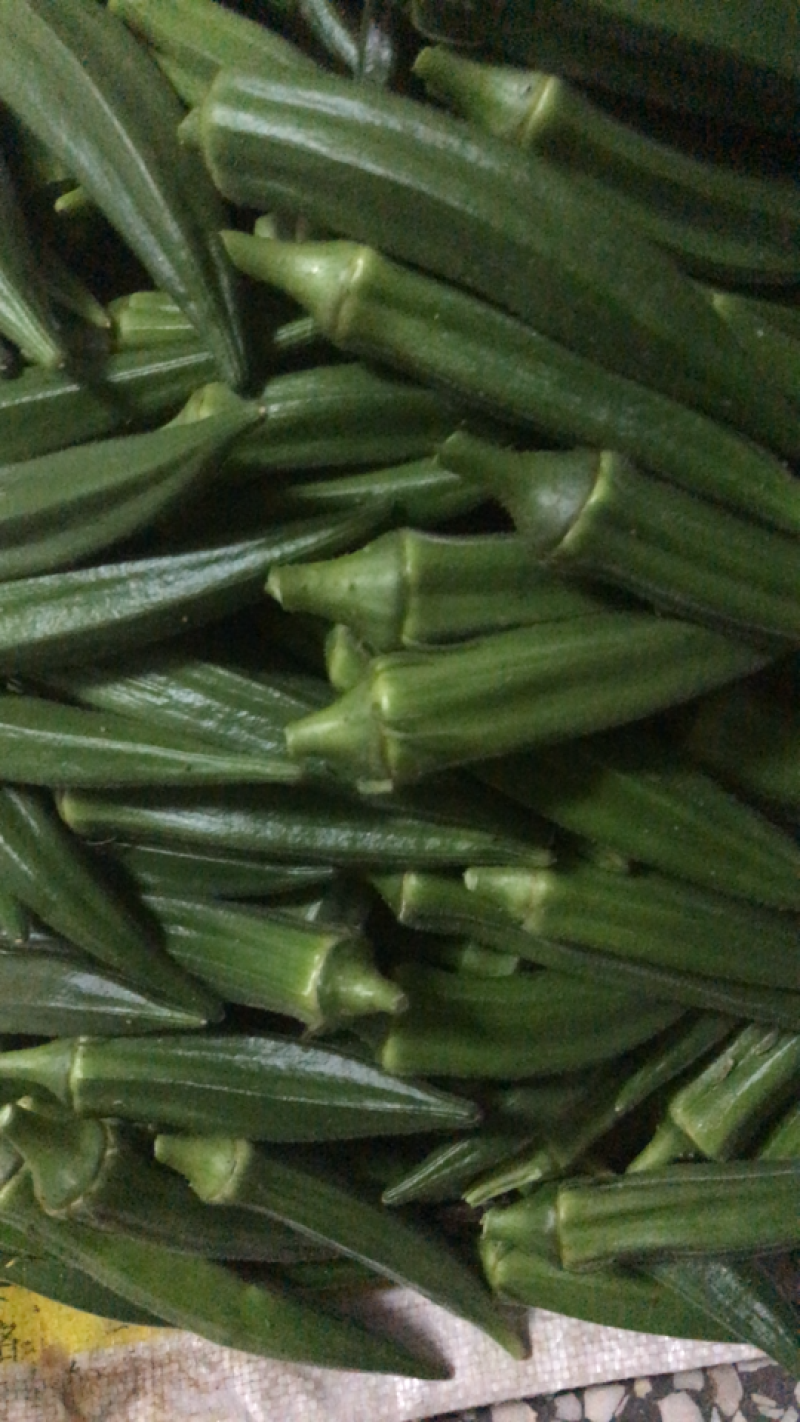 阎良区甜瓜种植基地