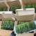 新茶安微太平猴魁手捏双枝猴魁兰花香型绿茶支持线上保障交易