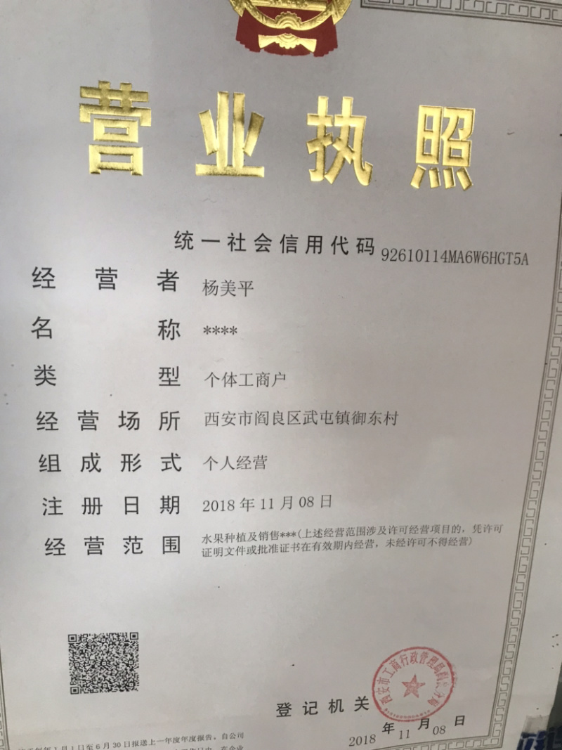 阎良区甜瓜种植基地