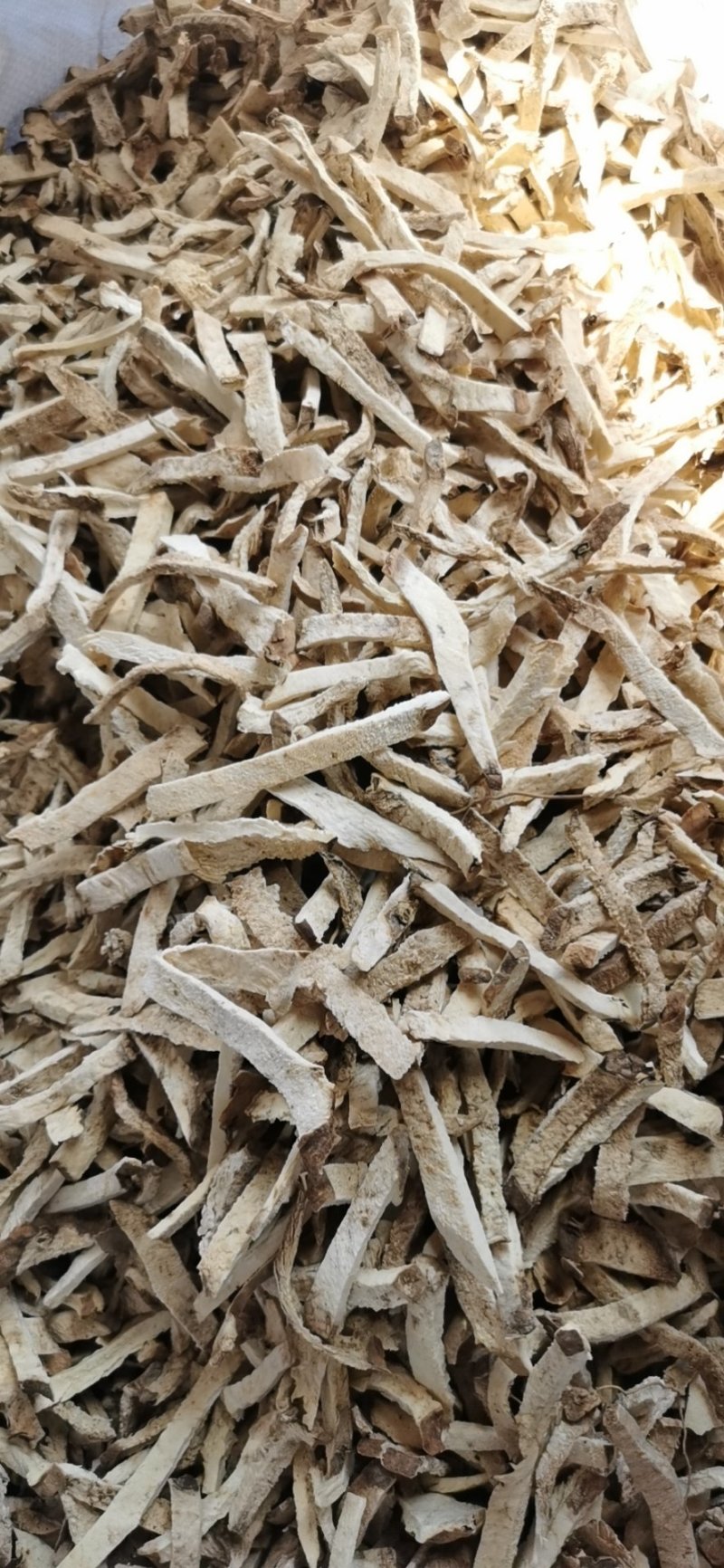 绵萆薢绵萆薢丝萆薢