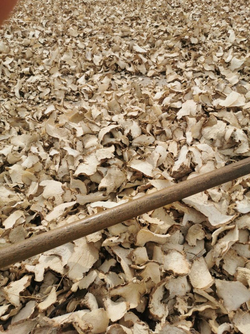 绵萆薢片