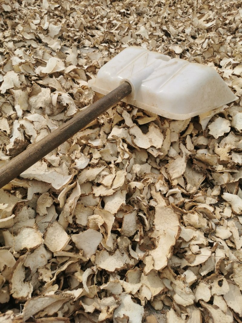 绵萆薢片
