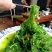 酸甜口味调味裙带菜，可视频看货