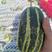 博洋9/61甜香瓜，陕西商超直供，肉厚糖分高，包熟度…