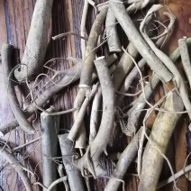 白花牛奶根切段干货，整条货