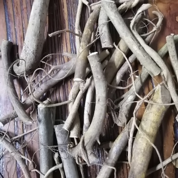 白花牛奶根切段干货，整条货