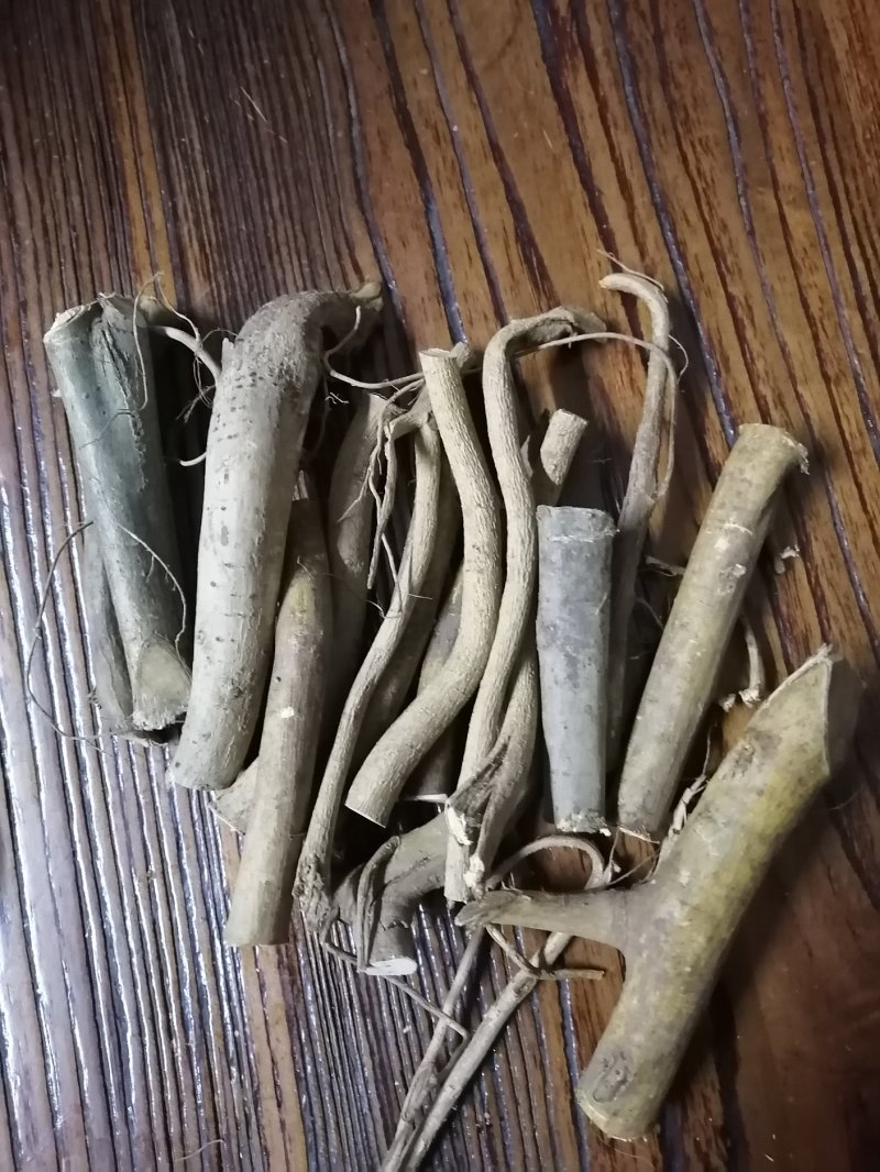 白花牛奶根切段干货，整条货