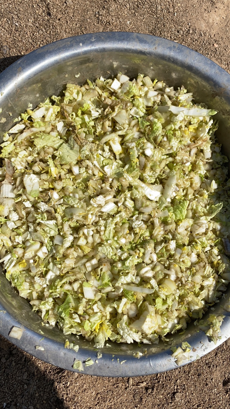 绿色散养原生态土鸡蛋真正的粮食蔬菜喂养