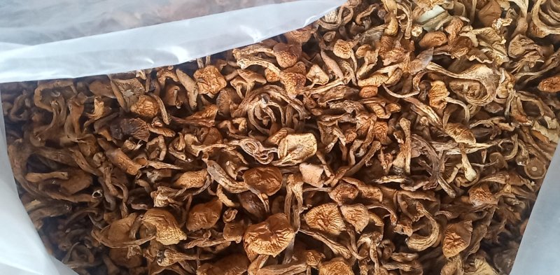 （包邮）产地直销，价格美丽，货真价实
