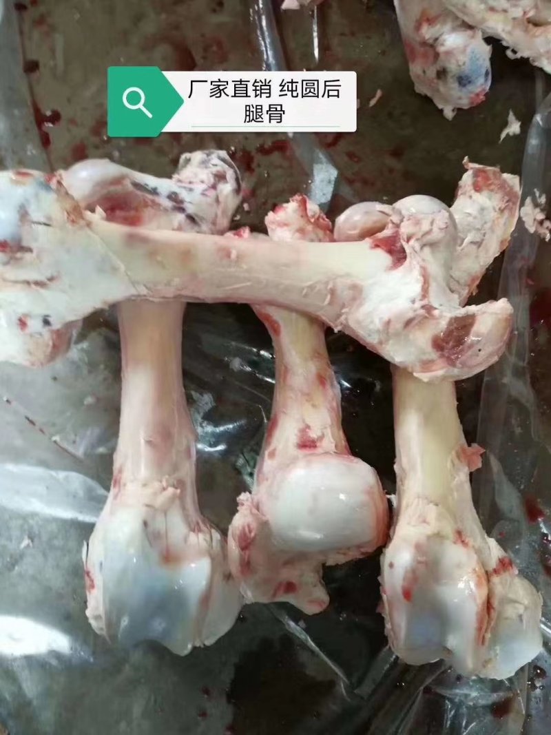 牛棒骨，熬汤纯园牛棒骨2.6元一斤价格低量大从优