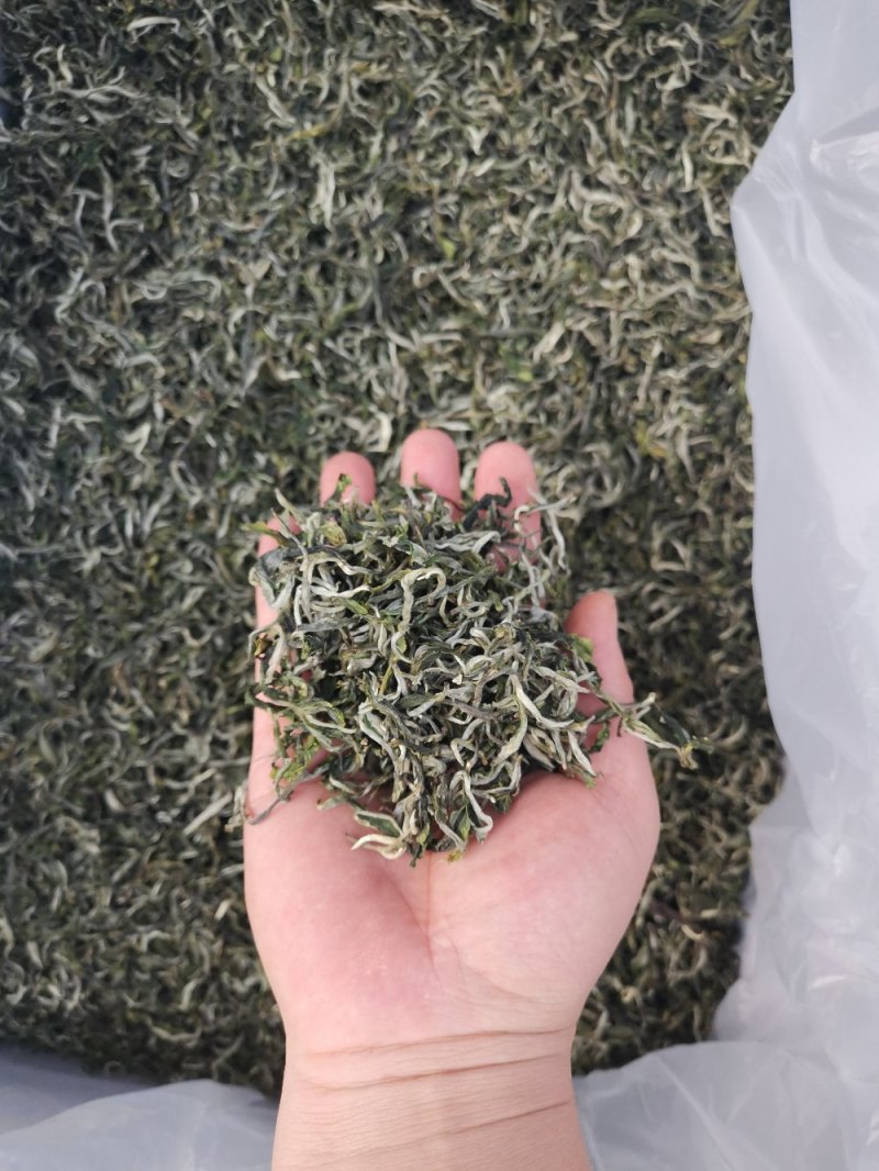 绿茶一级翠茗一级银丝普洱茶银丝滇绿